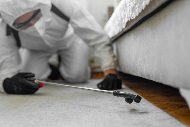 Professional Bed Bug Control technician working in Norway, MI